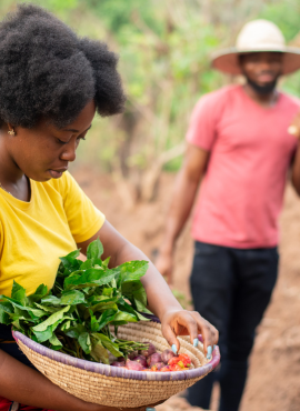 Livelihoods & Partnerships